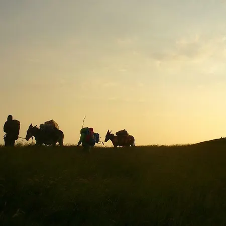 Ciuchi House 度假居 Cantalupo Ligure